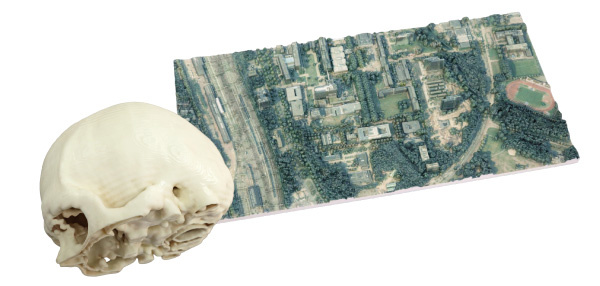 SCANS ≫ CT & Land Scan to 3D Printable Model