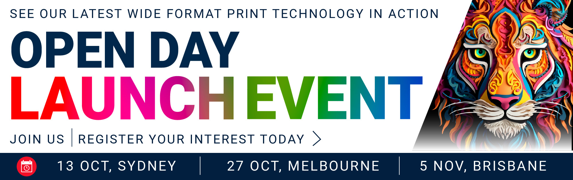 Launch web banner