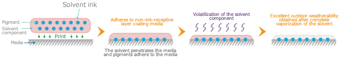 Mechanism of the solvent ink adhesion